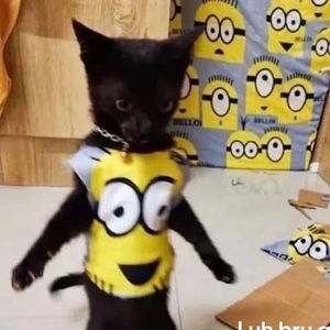 Meet your Posher, H3nta1man